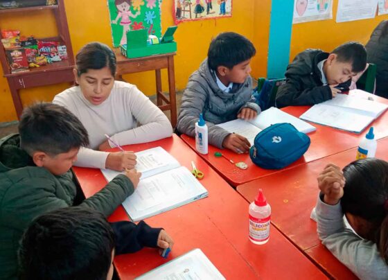 Ica: desde 2005, iniciativa de Agrokasa beneficia a 24 mil estudiantes de primaria