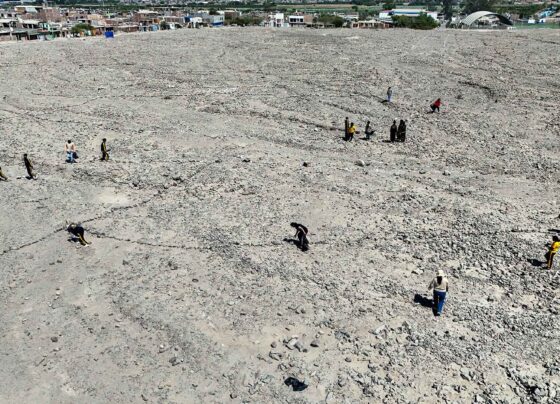 Nasca: campaña de limpieza recolectó media tonelada de residuos sólidos