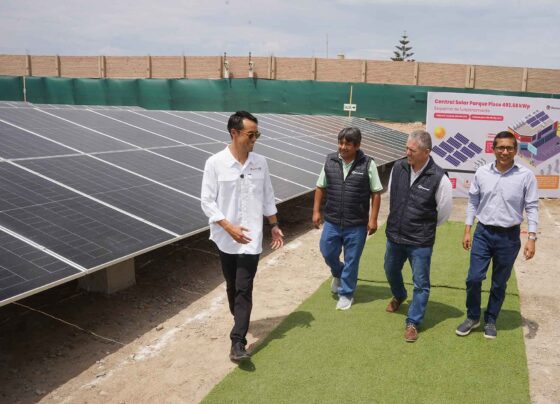 Parque Pisco implementa sistema fotovoltaico de más de 800 paneles solares