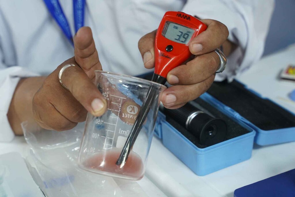 Con un espectacular corso y concurso de carros alegóricos, Ica despide el FIVI 2026