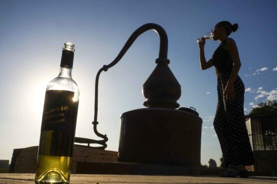 Con catas y ponencias, Ica celebrará el Día Nacional del Vino Peruano