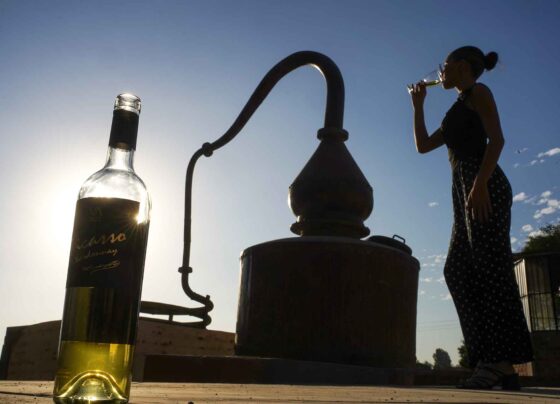 Con catas y ponencias, Ica celebrará el Día Nacional del Vino Peruano