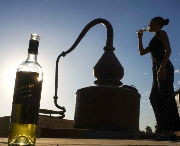 Con catas y ponencias, Ica celebrará el Día Nacional del Vino Peruano