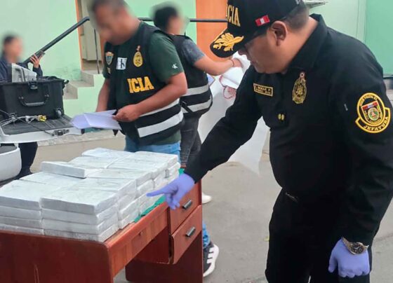 Ica: PNP incauta más de 40 kilos de cocaína ocultos en un vehículo y detiene a un implicado