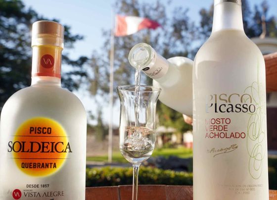Ica celebra el Día Nacional del Pisco con concurso regional, catas y destilación