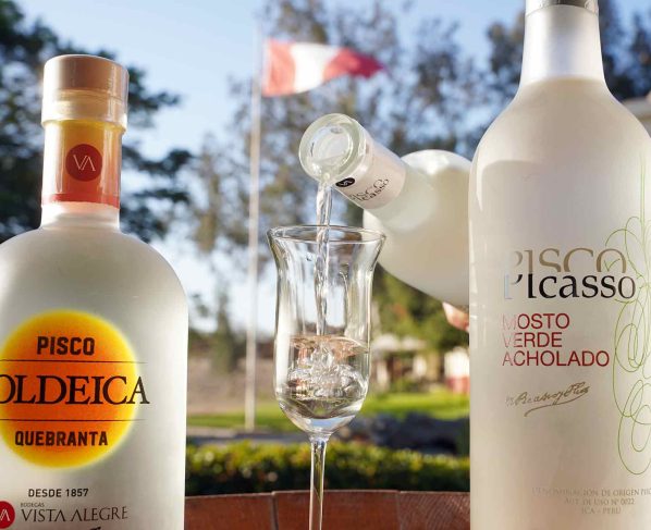 Ica celebra el Día Nacional del Pisco con concurso regional, catas y destilación