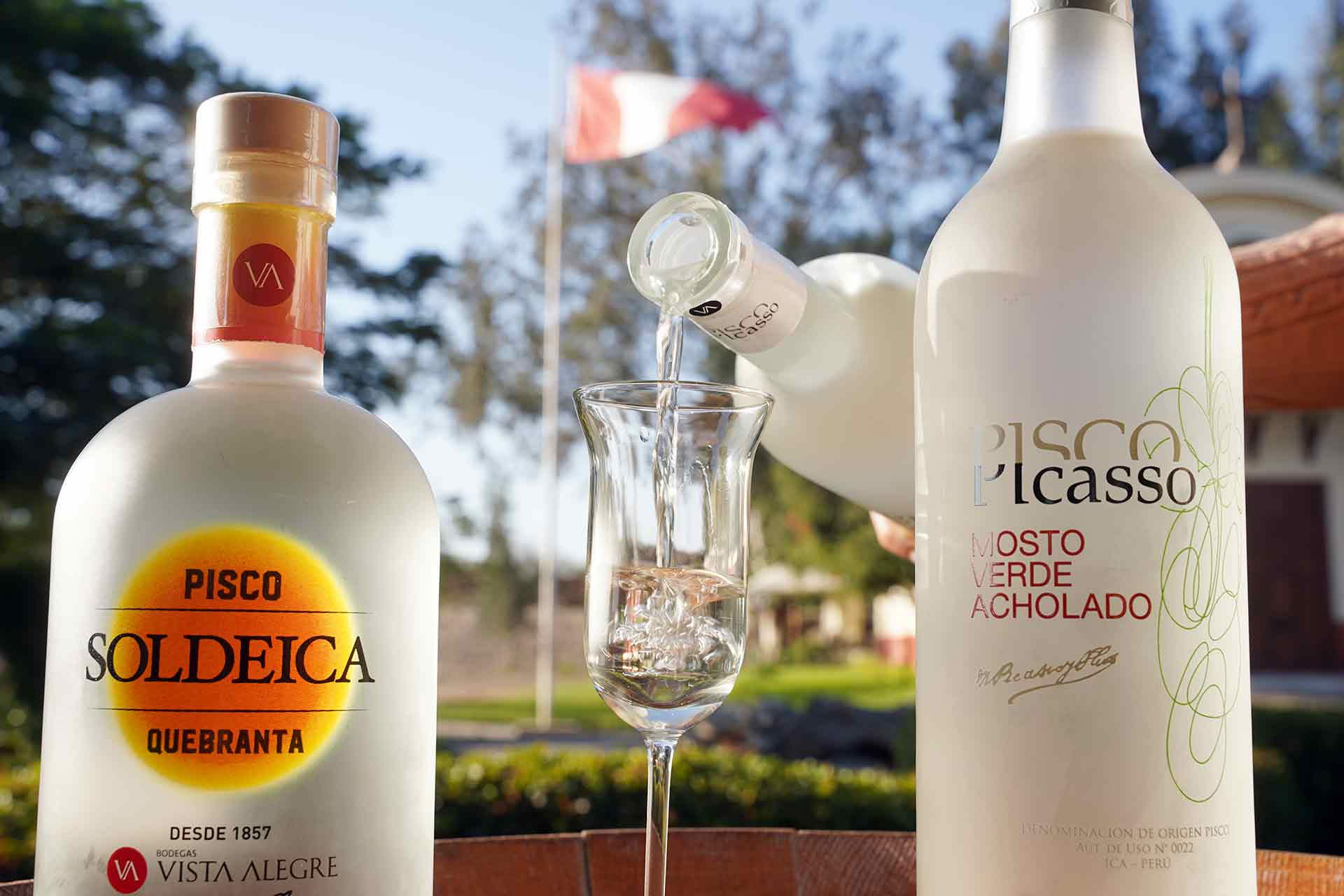 Ica celebra el Día Nacional del Pisco con concurso regional, catas y destilación