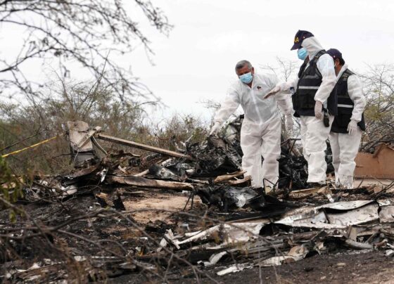 Accidente aéreo en Nasca: Perú convoca a expertos de 5 países para investigar las causas