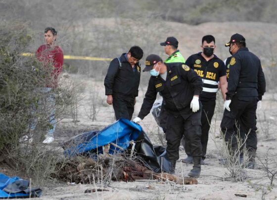 Equipo forense individualiza en tiempo récord a las 13 víctimas del trágico accidente aéreo en Nasca