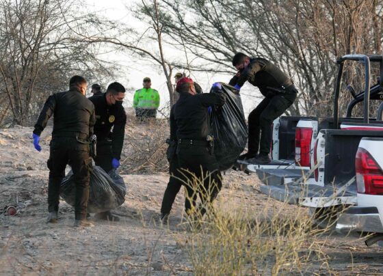 Identificación de las víctimas del accidente aéreo en Nasca demandará entre dos y tres días