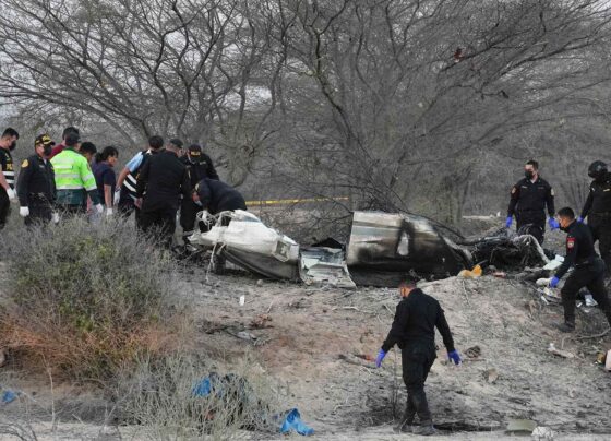 Tragedia aérea en Nasca: 13 fallecidos tras caída de avioneta, entre ellos 11 turistas europeos
