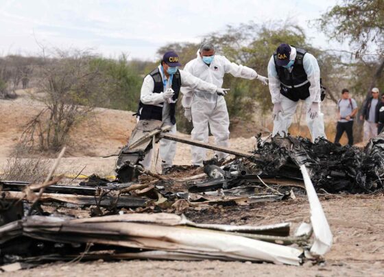 Tras accidente en Nasca, MTC suspende a Aerodiana e inicia investigación