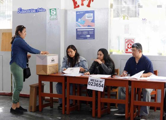 Más de 720 mil electores votan en las Elecciones Regionales y Municipales 2026
